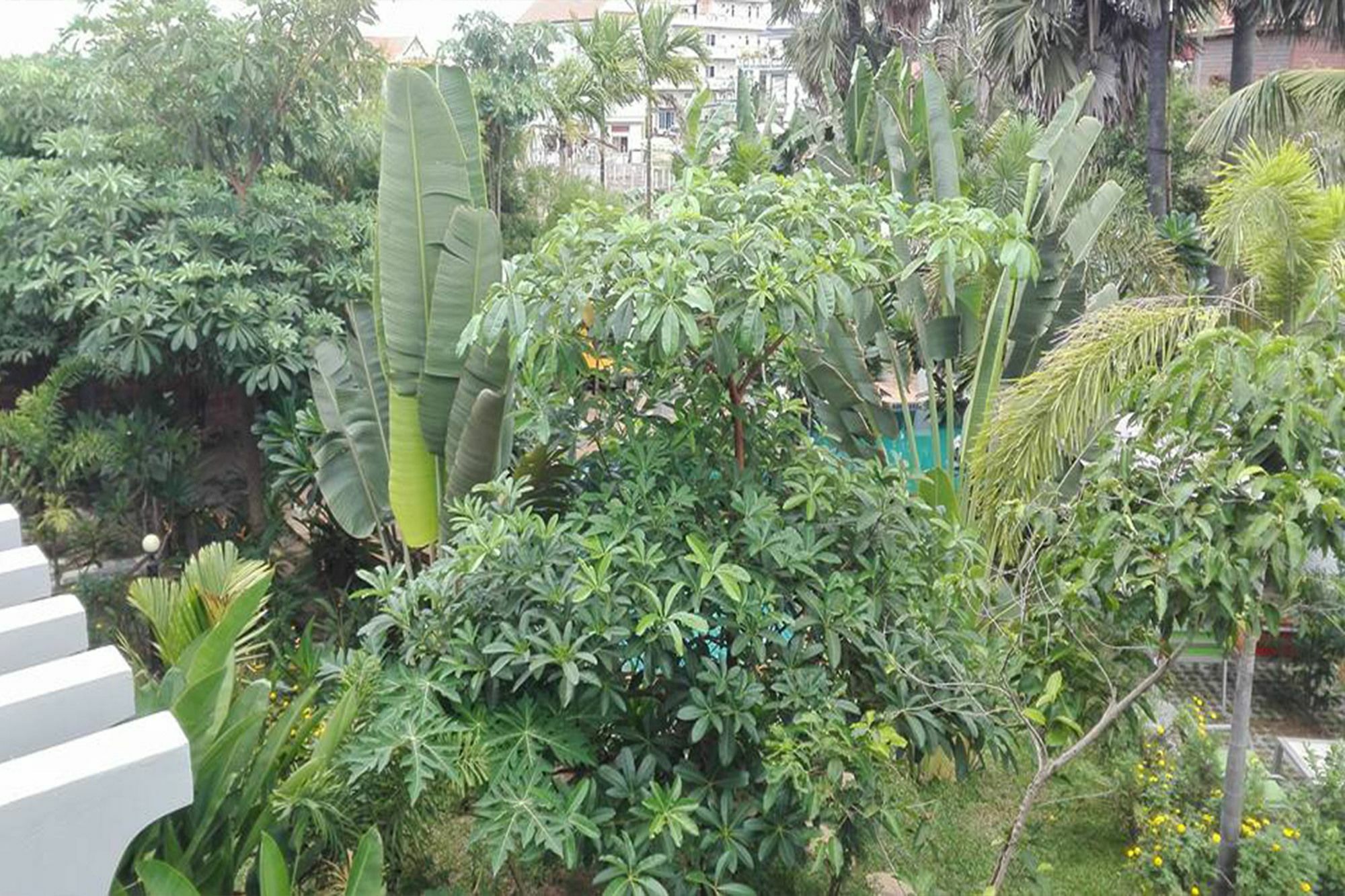Hak Boutique Hotel Siem Reap Bagian luar foto